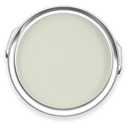 Killifish Pale Green Eco Paint